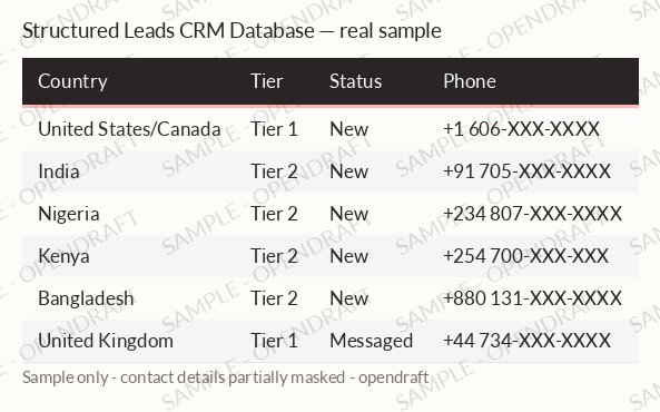 Real sample rows from the Structured Leads CRM Database, contact details partially masked
